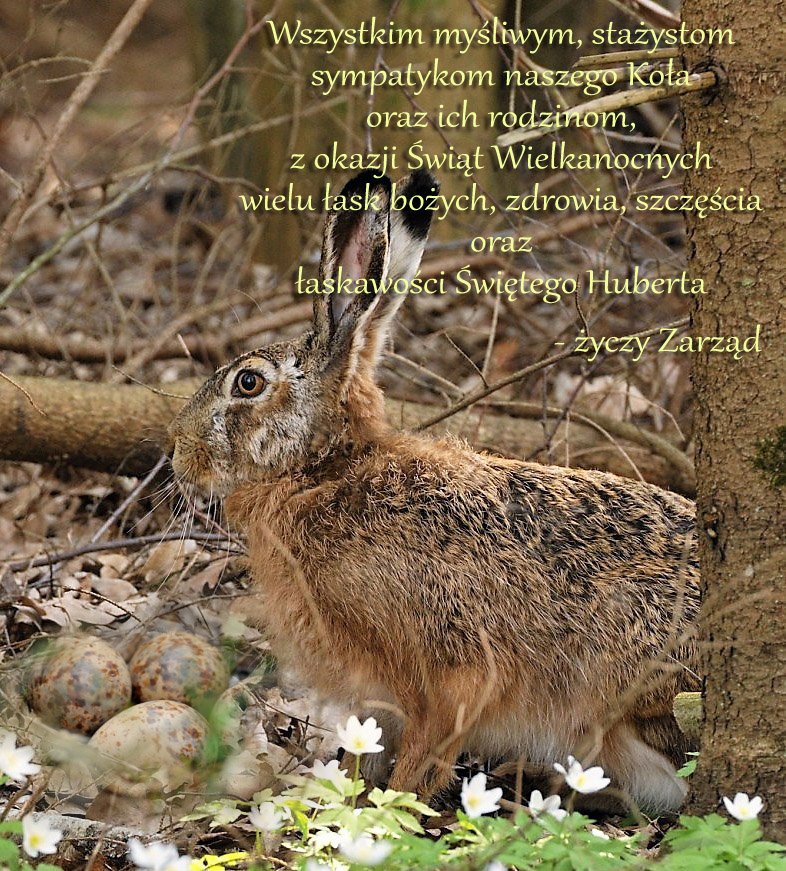 wielkanoc z j